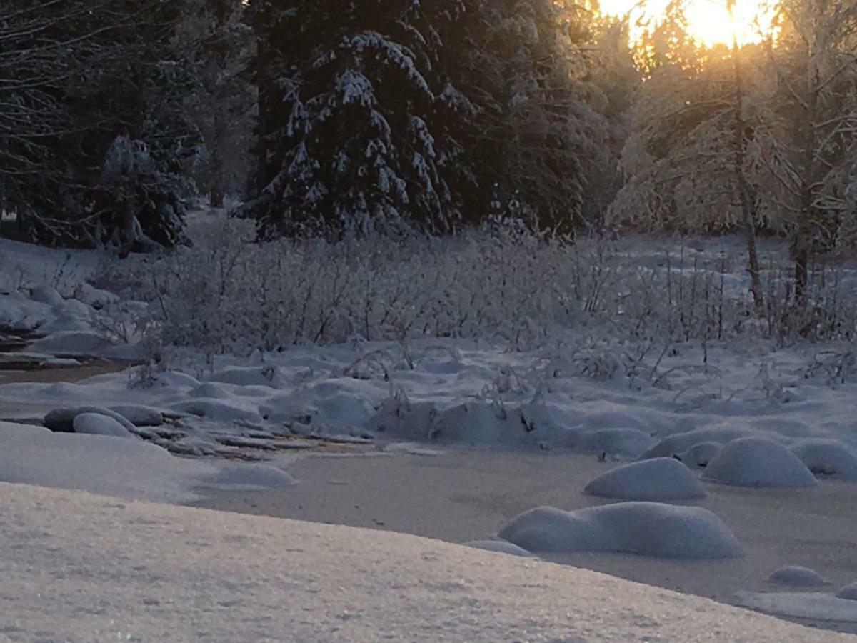 Seinaejoen Leirintaealue Hotel Seinäjoki Kültér fotó